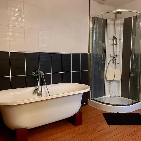 Maison 3 Chambres, Deux Salles D'eau, Patio, Wifi En Centre-ville De *