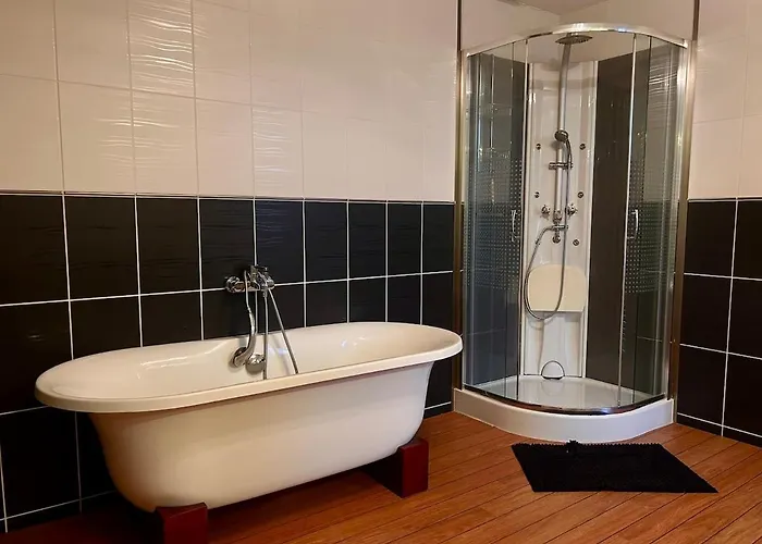 Maison 3 Chambres, Deux Salles D'eau, Patio, Wifi En Centre-ville De *