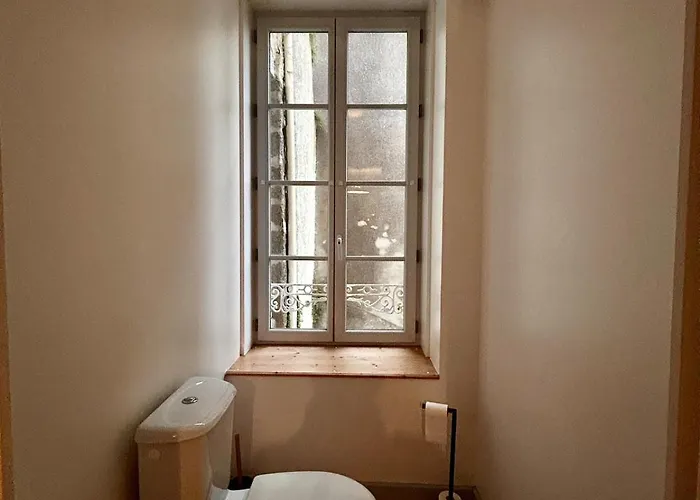 Maison 3 Chambres, Deux Salles D'eau, Patio, Wifi En Centre-ville De Holiday home